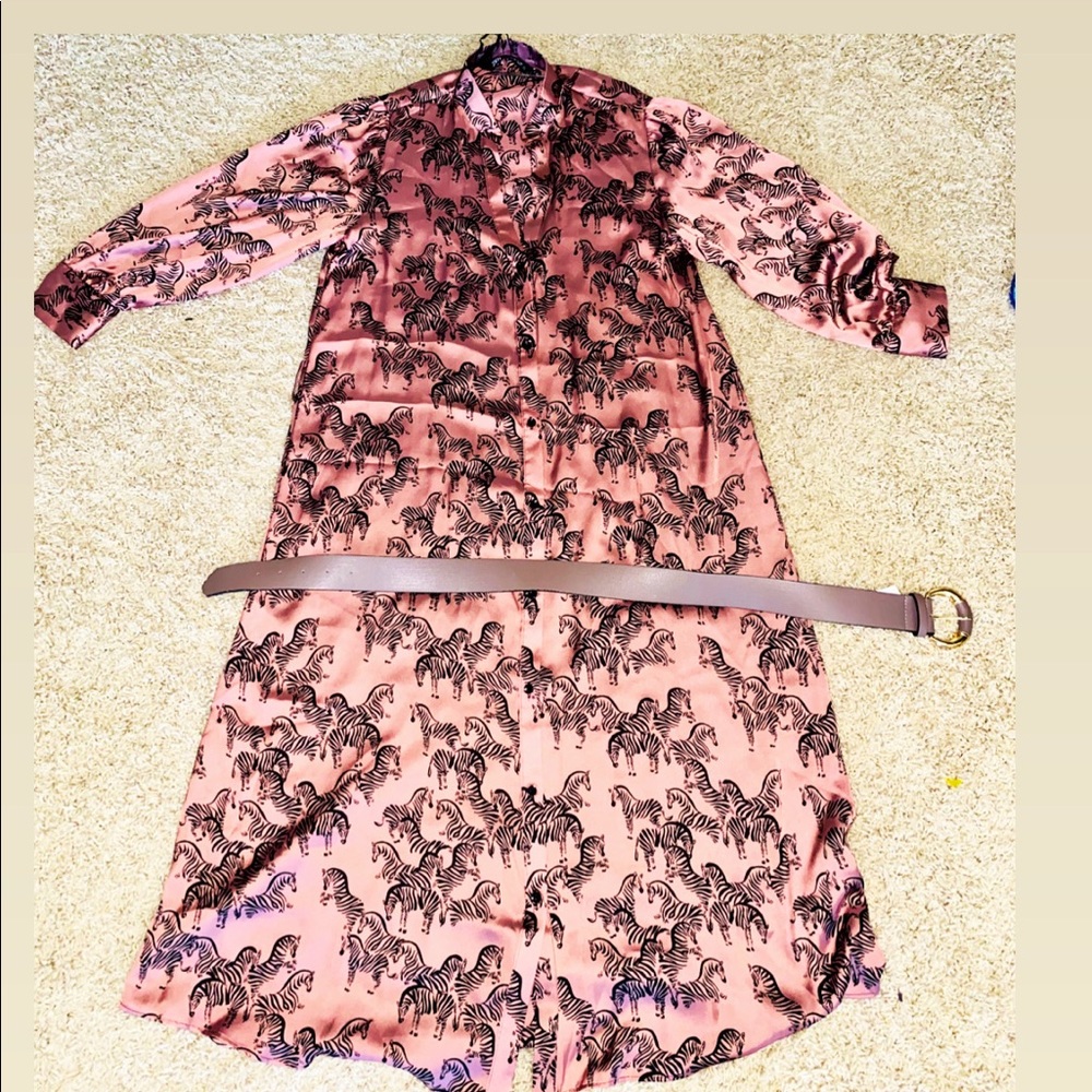Zara print dress